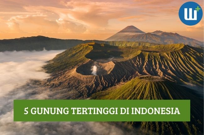 Daftar 5 Gunung Tertinggi di Indonesia, Simak Yuk!